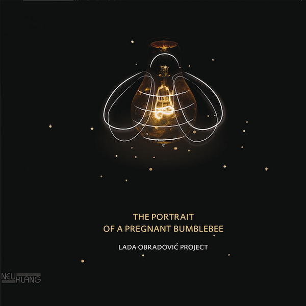 Emotionen, Gedanken, Reflexionen – auf Ihrem Album The Portrait of a Pregnant Bumblebee versucht die kroatische Schlagzeugerin Lada Obradovic all das auszudrücken
