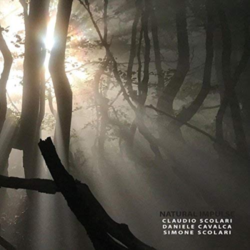 Intensives Klangerlebnis: Scolari/Cavalcas neues Album Natural Impulse ist ein Versuchslabor für Jazz-Erfrischung