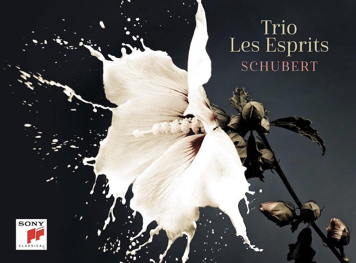 Das Trio Les Esprits verzaubert Schubert - leider zum letzten Mal
