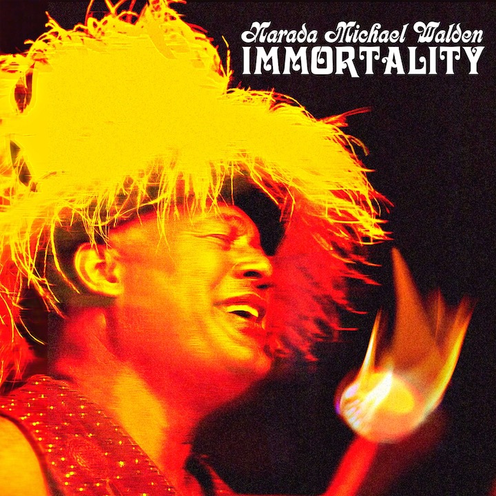 Narada Michael Walden hat mit Immortality ein beschwingtes und klangsattes Album veröffentlicht